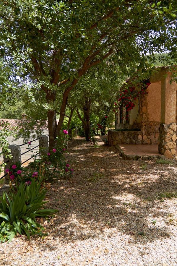 Casas Rurales Amable- Yeste Cortijo Prados 외부 사진
