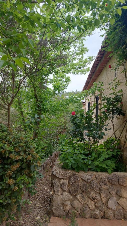 Casas Rurales Amable- Yeste Cortijo Prados 외부 사진